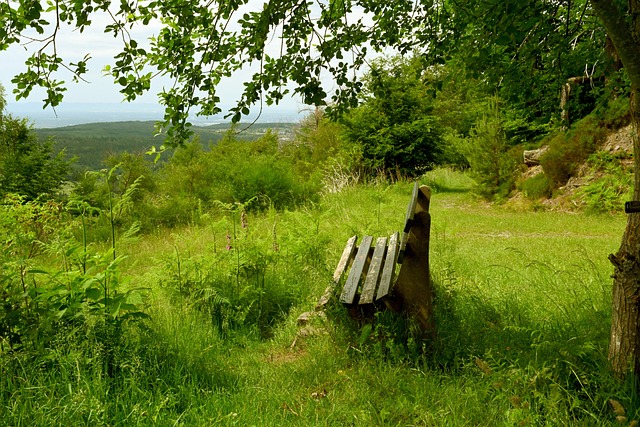 极的球员如 极的球员如