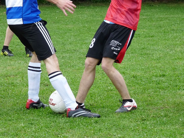 项赛事提供 项赛事提供