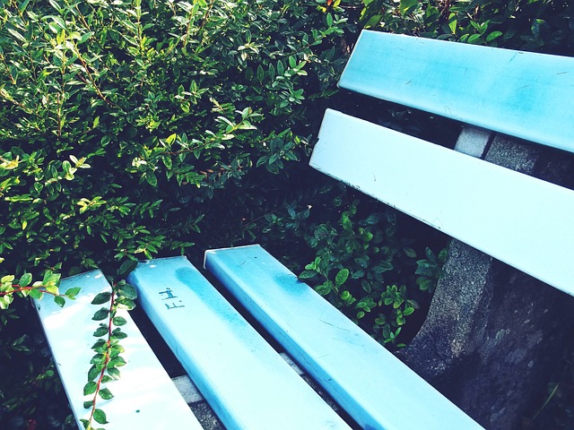 练的领导下 练的领导下