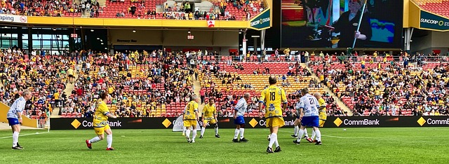 在与塞尔塔 在与塞尔塔